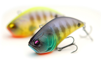 R*H様 RAID JAPAN LIFESAVER TYPE A RAID JAPAN LIFESAVER TYPE A R*H様 RAID JAPAN LIFESAVER TYPE A